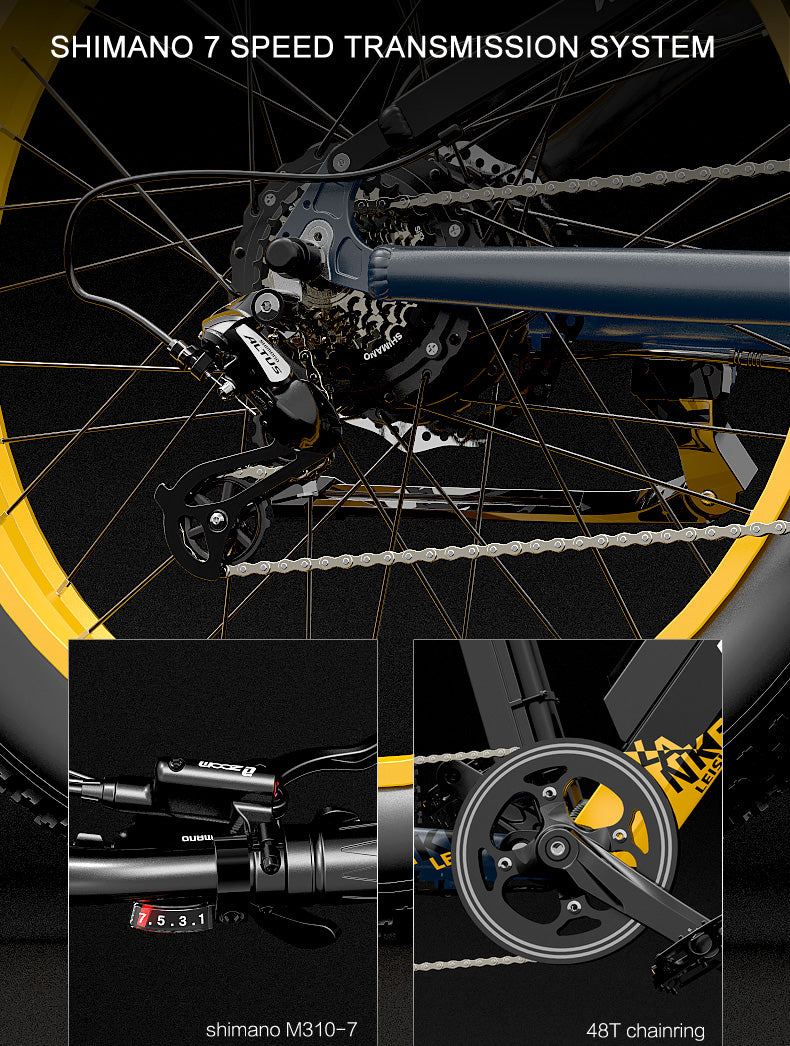 RV700 1000W 48V 16Ah Kraftfull elektrisk cykel 26 Inch Beach Bike Mountain Bike Upgraded Oil Spring Downhill Fork Dual Suspension