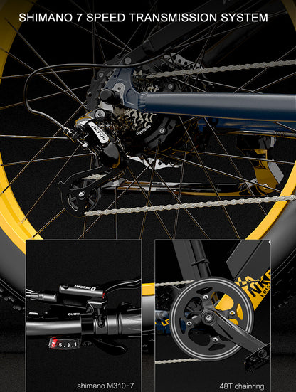 RV700 1000W 48V 16Ah Kraftfull elektrisk cykel 26 Inch Beach Bike Mountain Bike Upgraded Oil Spring Downhill Fork Dual Suspension